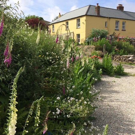 Frizenham Farmhouse Little Torrington Ngoại thất bức ảnh