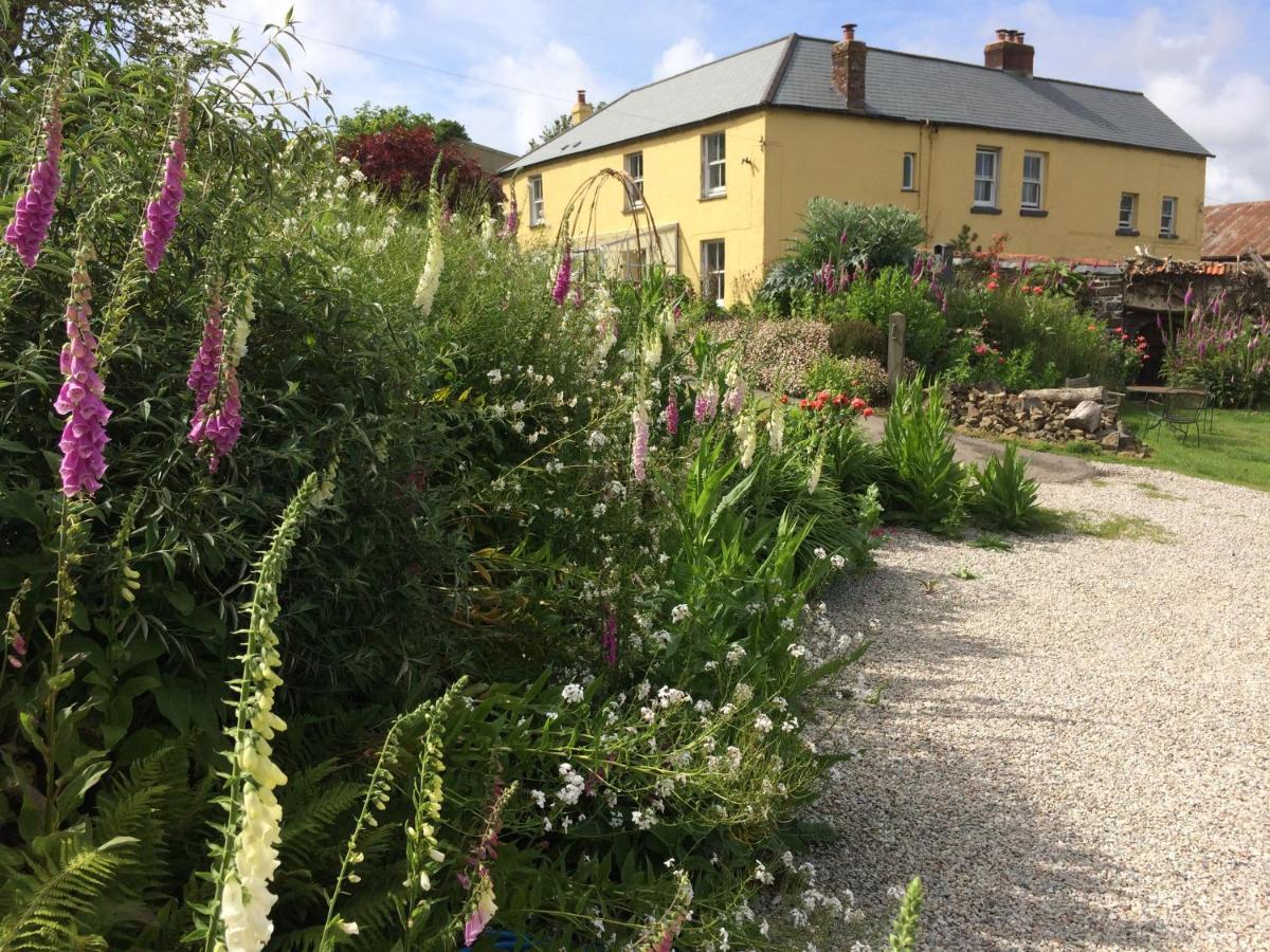 Frizenham Farmhouse Little Torrington Ngoại thất bức ảnh
