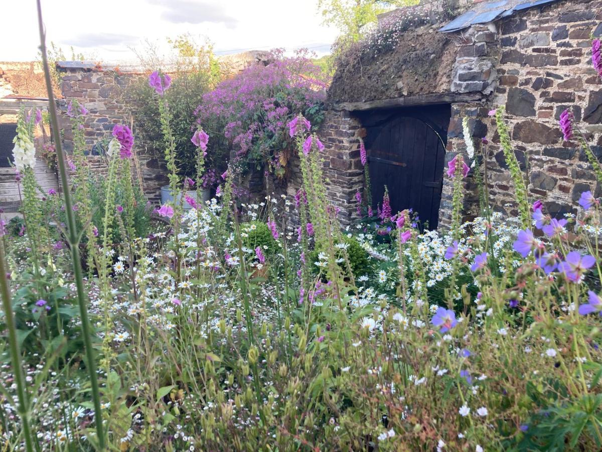 Frizenham Farmhouse Little Torrington Ngoại thất bức ảnh